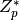 Z_p^*